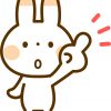 20170417rabbit001