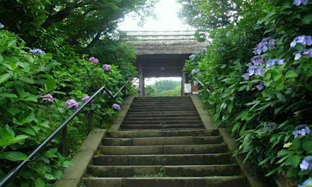 20170429 tokei-ji
